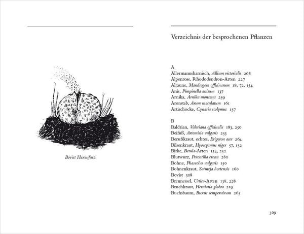 Produktbild: Hexenkräuter. Alte Heilpflanzen und ihre Kräfte