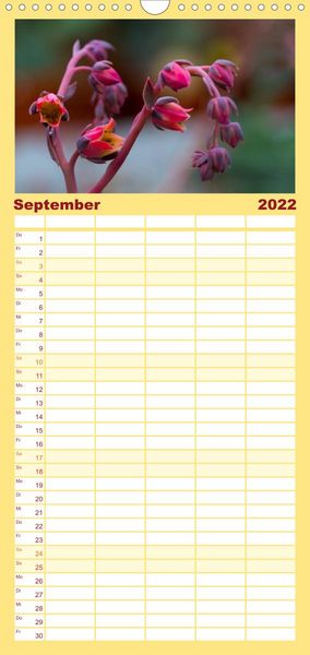 Produktbild: Bl&uuml;tensymphonie - Kakteen und Sukkulenten - Familienplaner hoch (Wandkalender 2022 , 21 cm x 45 cm, hoch)