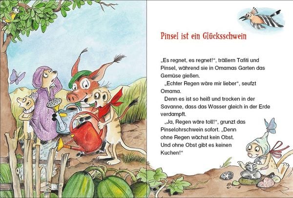 Produktbild: Tafiti (Band 24) - Ein Gl&uuml;cksschwein mit Pinselohren