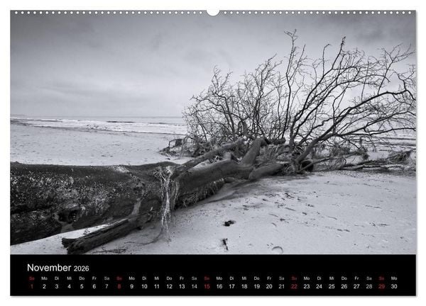 Produktbild: Strandspaziergang an der Ostsee (Wandkalender 2026 DIN A2 quer), CALVENDO Monatskalender