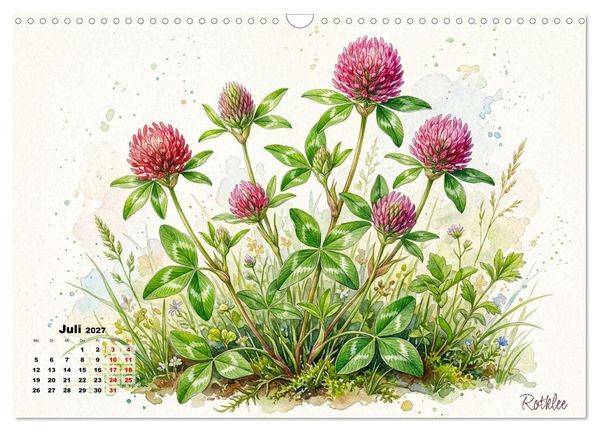 Produktbild: Wilde Kostbarkeiten &ndash; Essbar, gesund & wundersch&ouml;n (Wandkalender 2027 DIN A3 quer), CALVENDO Monatskalender