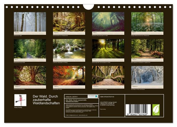 Produktbild: Der Wald. Durch zauberhafte Waldlandschaften (Wandkalender 2026 DIN A4 quer), CALVENDO Monatskalender