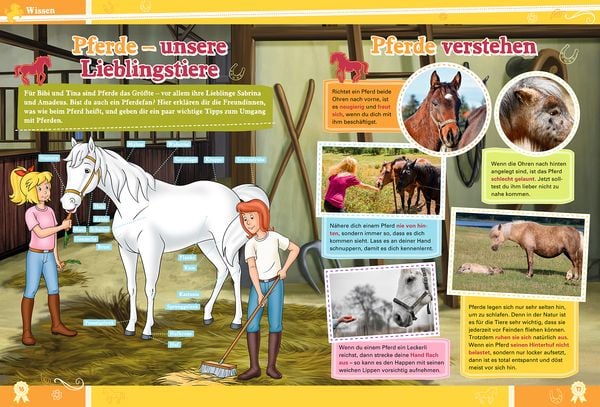 Produktbild: Bibi & Tina: Mein gro&szlig;es Fanbuch