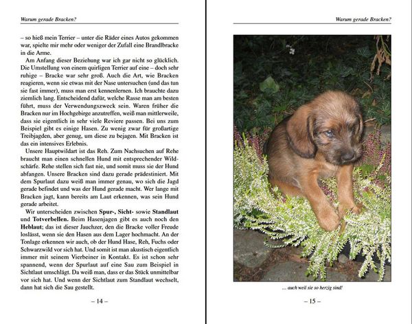 Produktbild: Darum Bracken!