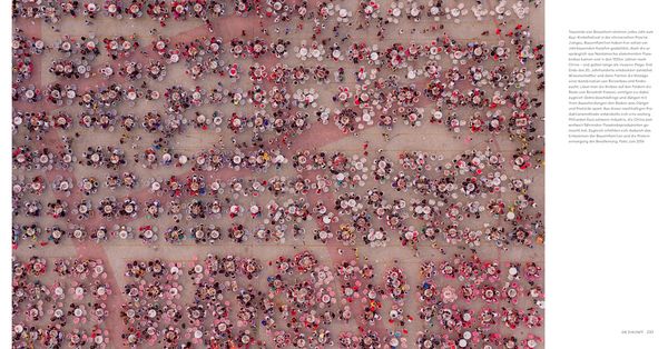 Produktbild: Feed the Planet