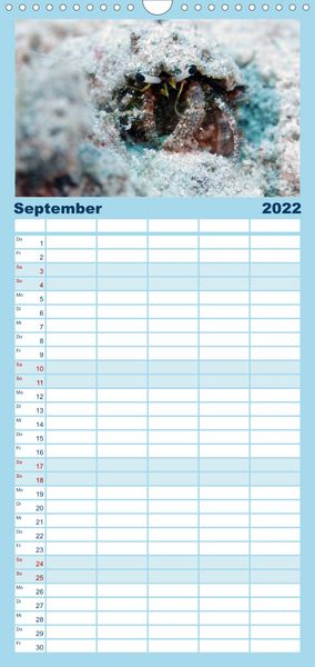 Produktbild: Tauchen, Fische und Meer - Familienplaner hoch (Wandkalender 2022 , 21 cm x 45 cm, hoch)