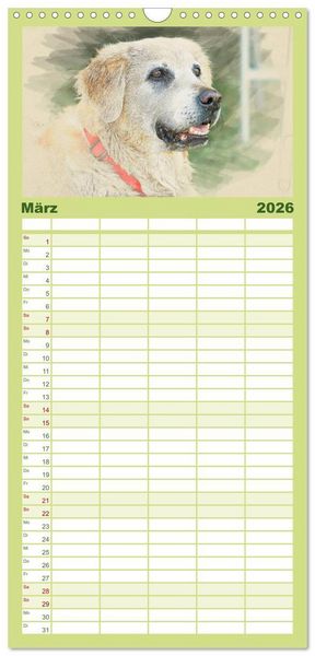 Produktbild: Familienplaner 2026 - Golden Retriever mit 5 Spalten (Wandkalender, 21 x 45 cm) CALVENDO
