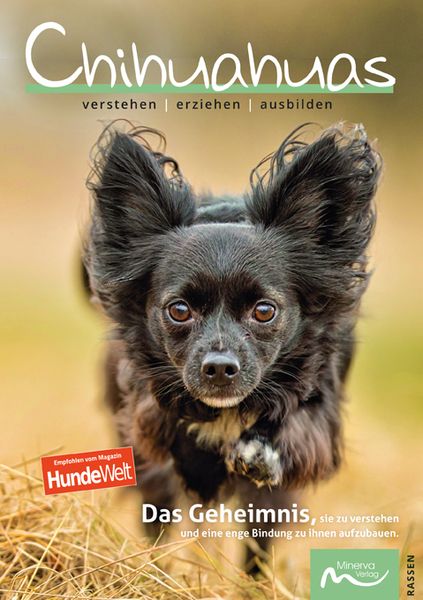 Chihuahuas, Taschenbuch von Claudia de la Motte, Minerva Verlag, 978-3-910503-09-0