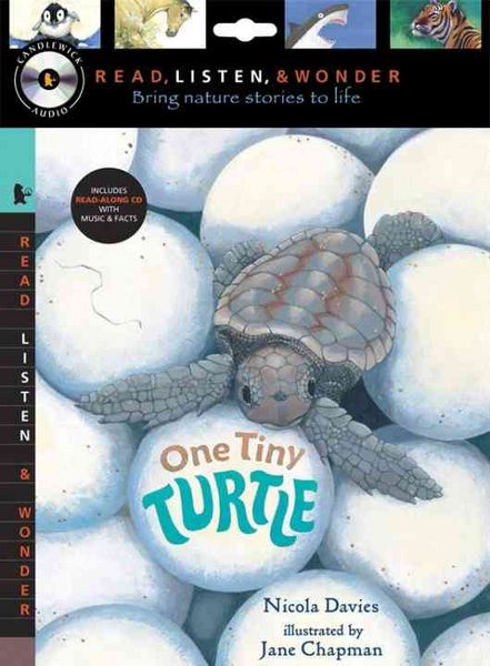 Produktbild: One Tiny Turtle with Audio, Peggable: Read, Listen & Wonder