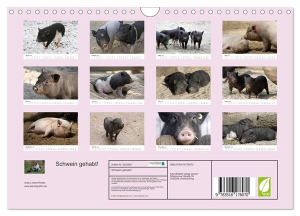 Produktbild: Schwein gehabt! (Wandkalender 2026 DIN A4 quer), CALVENDO Monatskalender