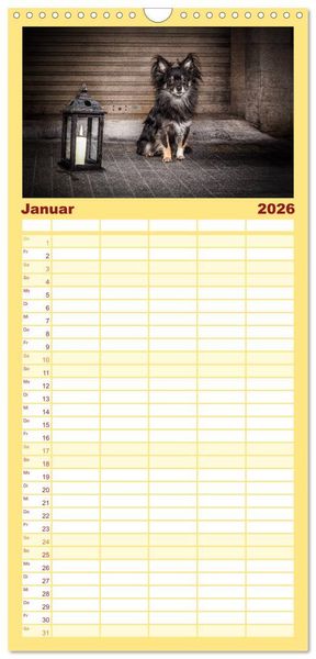 Produktbild: Familienplaner 2026 - Chihuahuas - Cool and Cute mit 5 Spalten (Wandkalender, 21 x 45 cm) CALVENDO