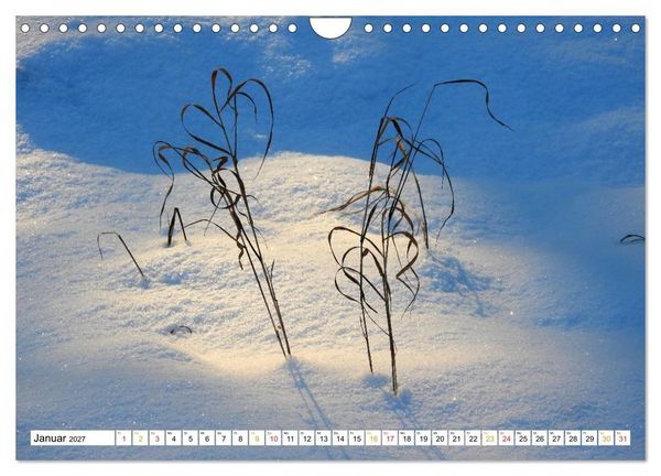 Produktbild: 12 Monate Natur (Wandkalender 2027 DIN A4 quer), CALVENDO Monatskalender