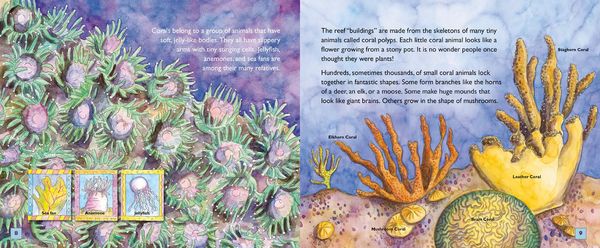 Produktbild: Jump Into Science: Coral Reefs