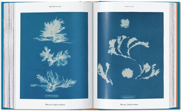 Produktbild: Anna Atkins