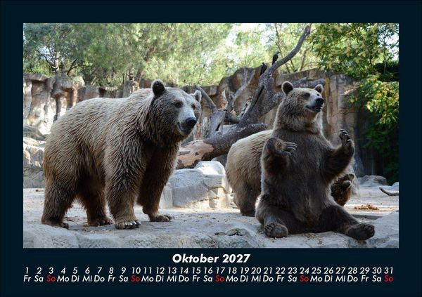 Produktbild: Tierkalender 2027 Fotokalender DIN A5