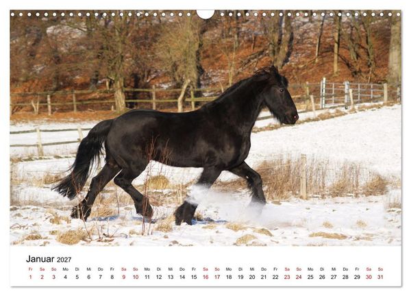 Produktbild: PFERDE - Zwischen Himmel, Erde und Hufschlag (Wandkalender 2027 DIN A3 quer), CALVENDO Monatskalender