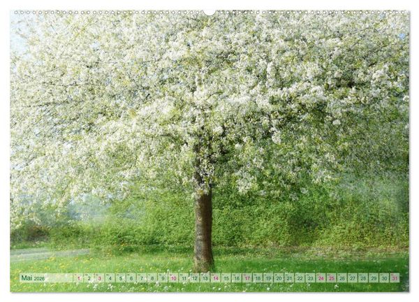 Produktbild: Vielfalt der B&auml;ume - variety of trees (hochwertiger Premium Wandkalender 2026 DIN A2 quer), Kunstdruck in Hochglanz