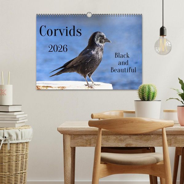 Produktbild: Corvids - Black and Beautiful (Wall Calendar 2026 DIN A3 landscape), CALVENDO 12 Month Wall Calendar