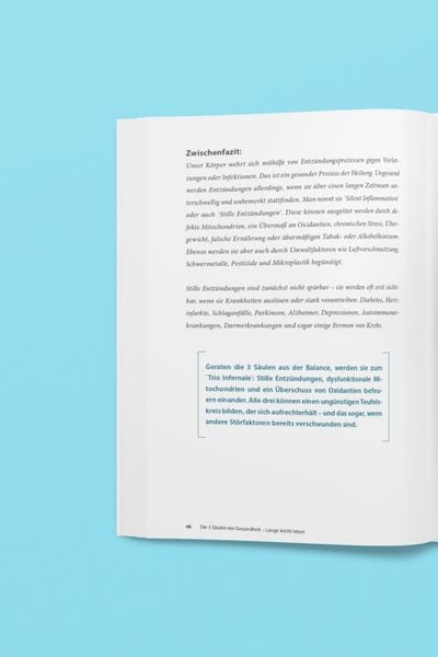 Produktbild: Die 3 S&auml;ulen der Gesundheit
