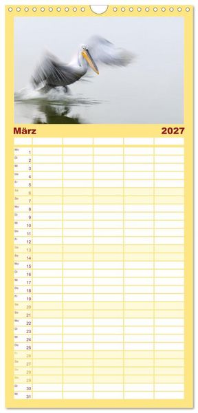 Produktbild: Familienplaner 2027 - Krauskopfpelikane mit 5 Spalten (Wandkalender, 21 x 45 cm) CALVENDO