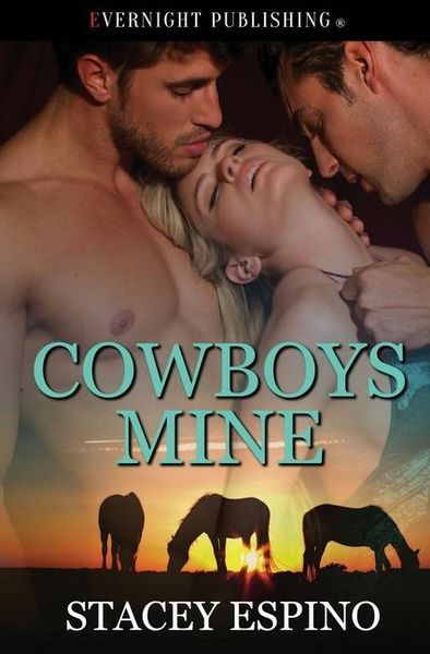 Produktbild: Cowboys Mine