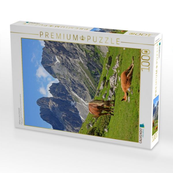 Produktbild: CALVENDO Puzzle Haflinger im oberen Rinderfeld | 1000 Teile Lege-Gr&ouml;&szlig;e 64x48cm Foto-Puzzle f&uuml;r gl&uuml;ckliche Stunden