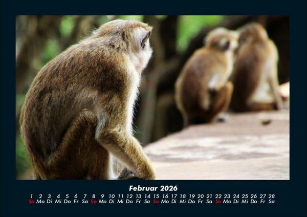 Produktbild: Welt der Tiere 2026 Fotokalender DIN A4