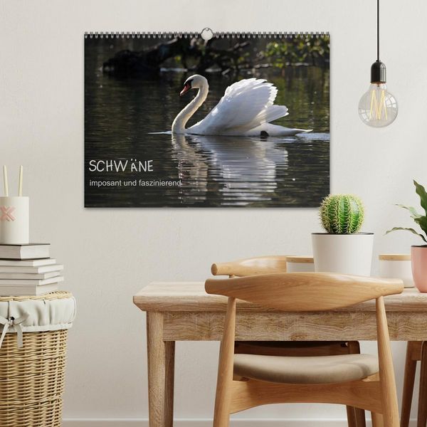Produktbild: Schw&auml;ne - imposant und faszinierend (Wandkalender 2026 DIN A3 quer), CALVENDO Monatskalender
