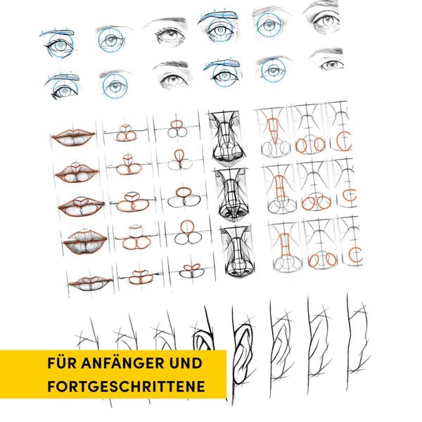 Produktbild: Die Kunst des Zeichnens. Die Loomis-Methode &Uuml;bungsbuch