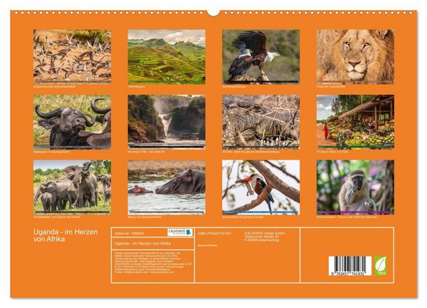 Produktbild: Uganda - im Herzen von Afrika (hochwertiger Premium Wandkalender 2026 DIN A2 quer), Kunstdruck in Hochglanz