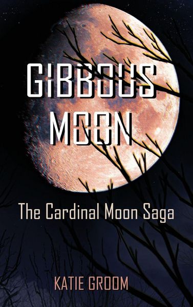 Produktbild: Gibbous Moon