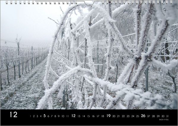 Produktbild: Der Weinkalender 2027, DIN A3 &ndash; ein Fotokalender