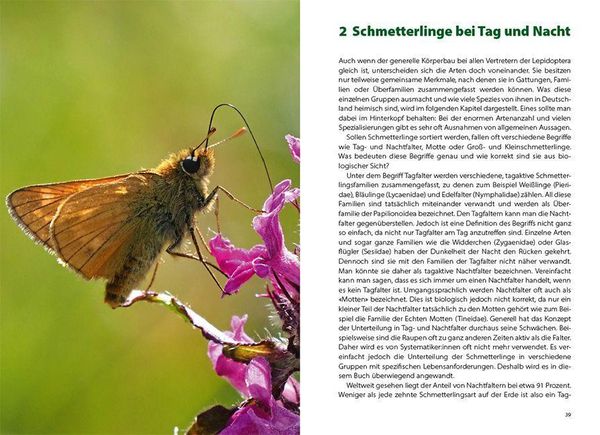 Produktbild: Schmetterlingswissen