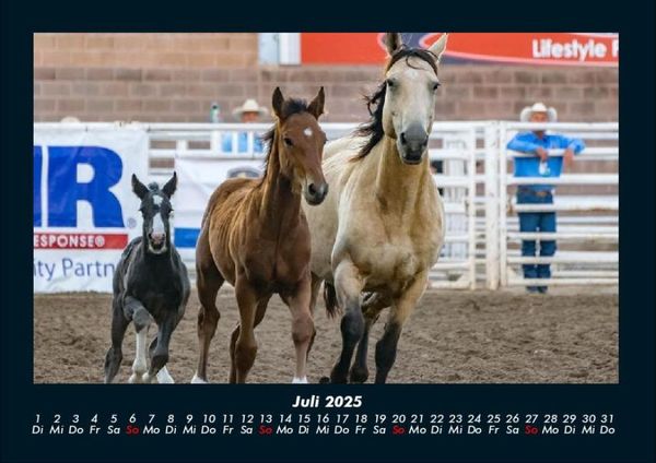 Produktbild: Pferdetraum 2025 Fotokalender DIN A4