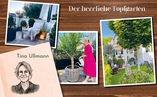 Produktbild: Mein grünes Paradies – Drei Frauen und ihre Gärten