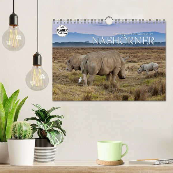 Produktbild: Emotionale Momente: Nash&ouml;rner (Wandkalender 2026 DIN A4 quer), CALVENDO Monatskalender