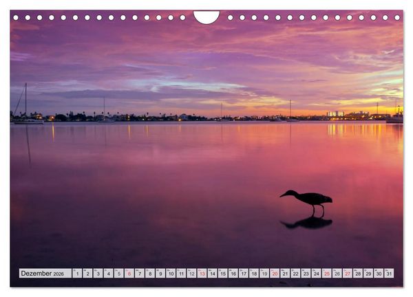 Produktbild: FLORIDA Paradiesischer Sonnenscheinstaat (Wandkalender 2026 DIN A4 quer), CALVENDO Monatskalender