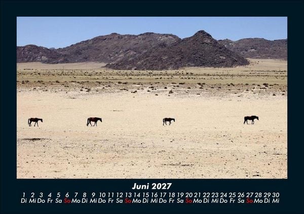 Produktbild: Pferde Kalender 2027 Fotokalender DIN A5