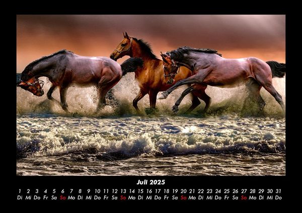 Produktbild: Die Welt der Pferde 2025 Fotokalender DIN A3