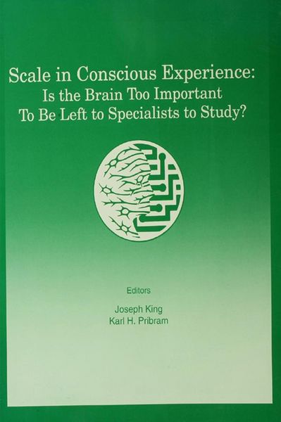 Produktbild: Scale in Conscious Experience