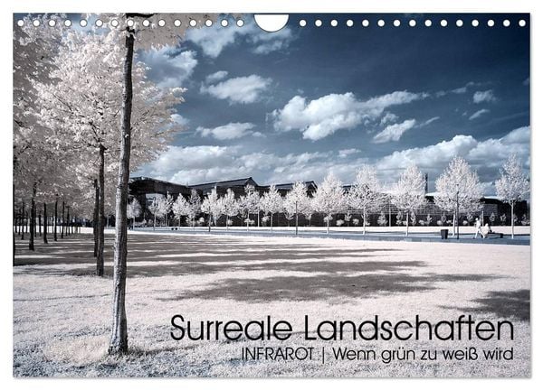 Produktbild: Surreale Landschaften. INFRARROT - Wenn gr&uuml;n zu wei&szlig; wird (Wandkalender 2026 DIN A4 quer), CALVENDO Monatskalender