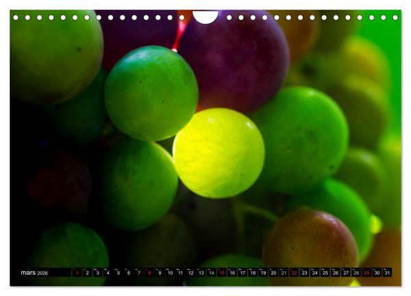 Produktbild: LE VIN (Calendrier mural 2026 DIN A4 vertical), CALVENDO calendrier mensuel