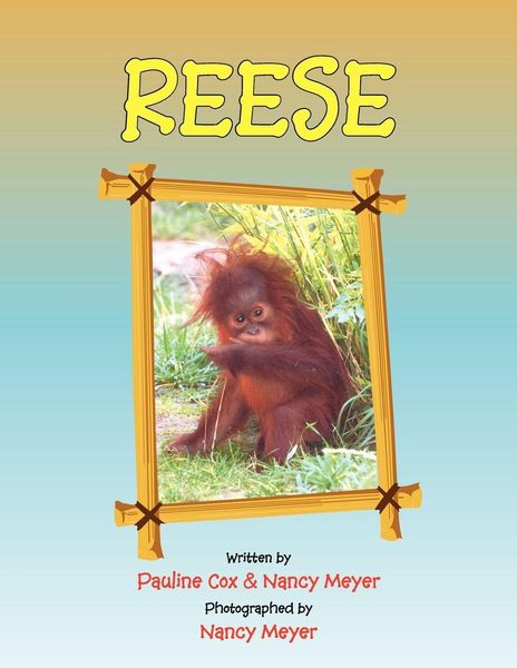 Produktbild: REESE
