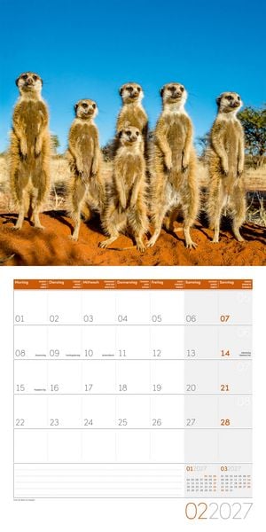 Produktbild: Erdm&auml;nnchen Kalender 2027 - 30x30 - Art12