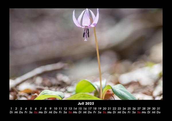 Produktbild: Blumenzauber 2025 Fotokalender DIN A3