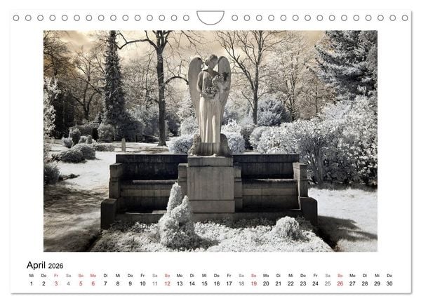 Produktbild: your guardian angel - Dein Schutzengel f&uuml;r jeden Tag (Wandkalender 2026 DIN A4 quer), CALVENDO Monatskalender