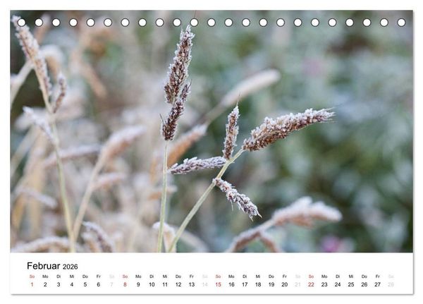 Produktbild: Mein Jahr im Landhausgarten (Tischkalender 2026 DIN A5 quer), CALVENDO Monatskalender