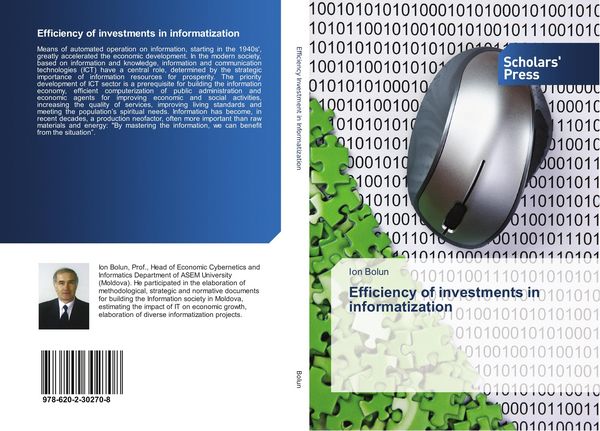 Produktbild: Efficiency of investments in informatization