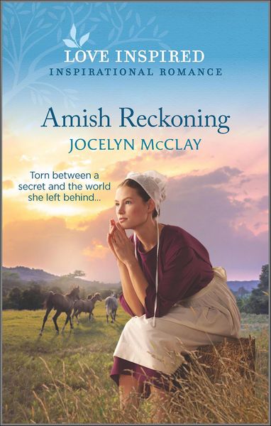 Produktbild: Amish Reckoning