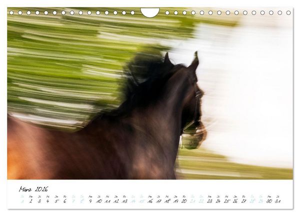 Produktbild: Pferde vom Wind verweht (Wandkalender 2026 DIN A4 quer), CALVENDO Monatskalender